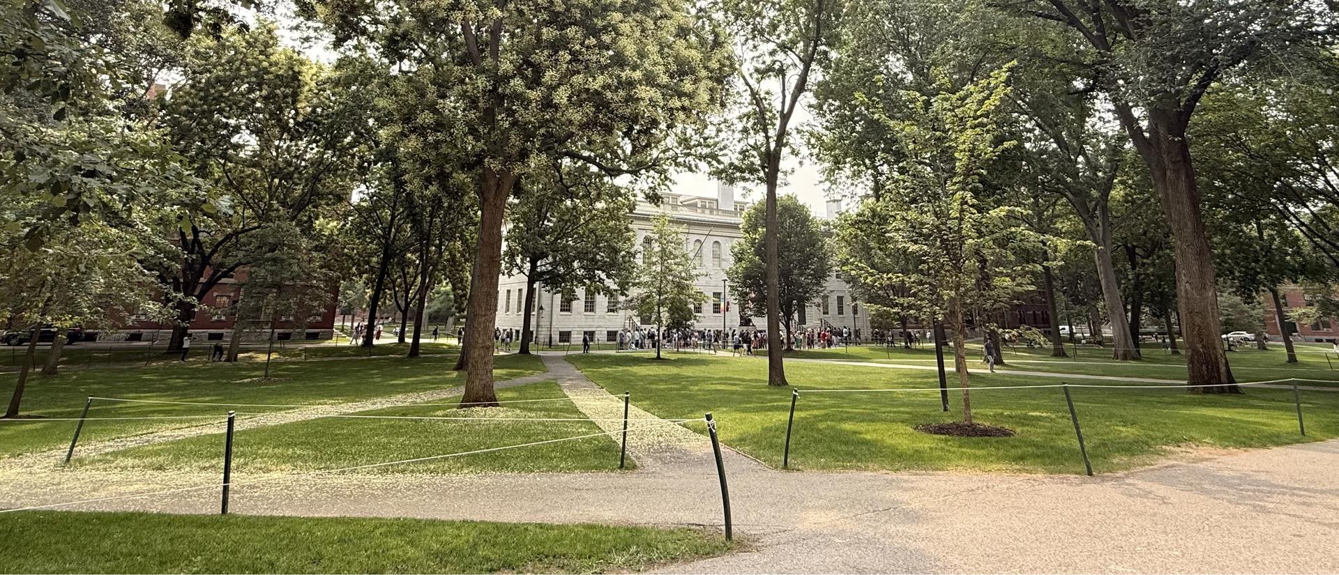 Harvard Yard in the summertime